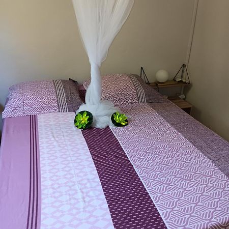 Sous Le Manguier Apartment แซ็งแตนน์ ภายนอก รูปภาพ