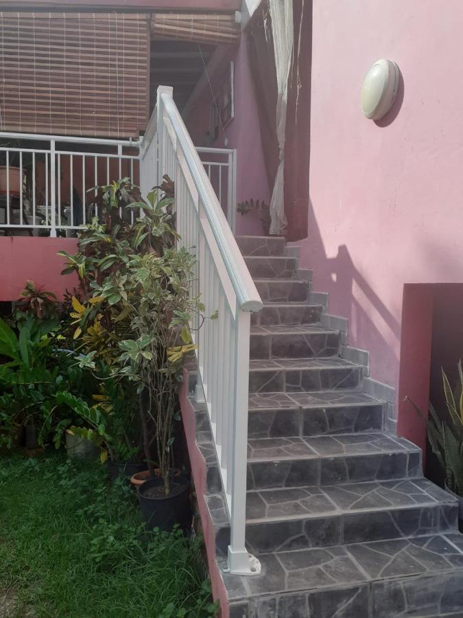 Sous Le Manguier Apartment แซ็งแตนน์ ภายนอก รูปภาพ