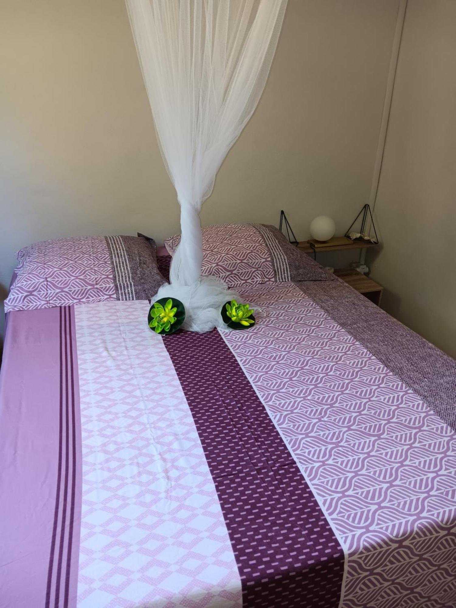 Sous Le Manguier Apartment แซ็งแตนน์ ภายนอก รูปภาพ