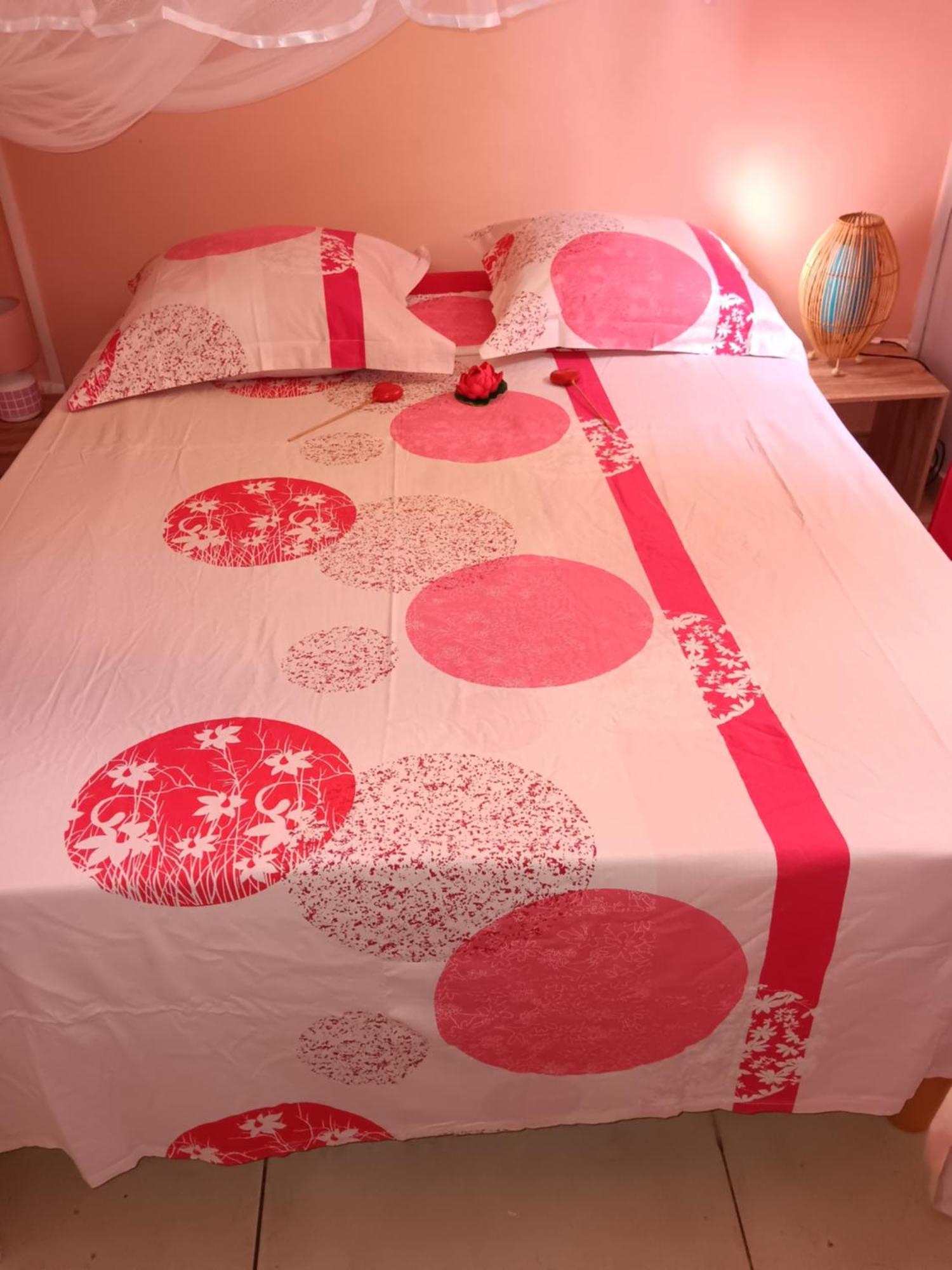 Sous Le Manguier Apartment แซ็งแตนน์ ภายนอก รูปภาพ